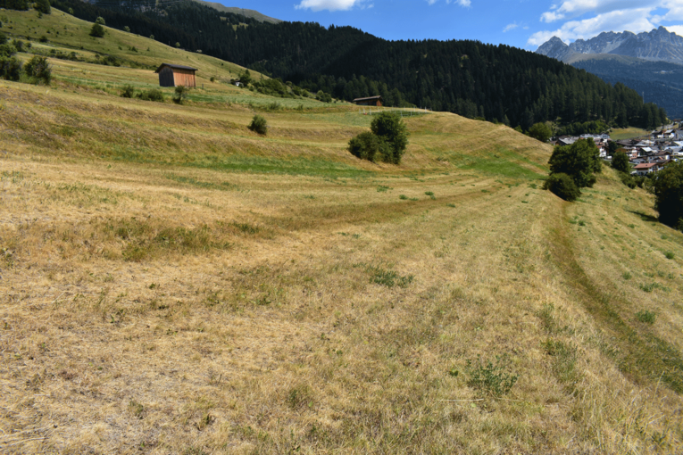 LK-Tirol.png © LK Tirol LK-Tirol.png © LK Tirol