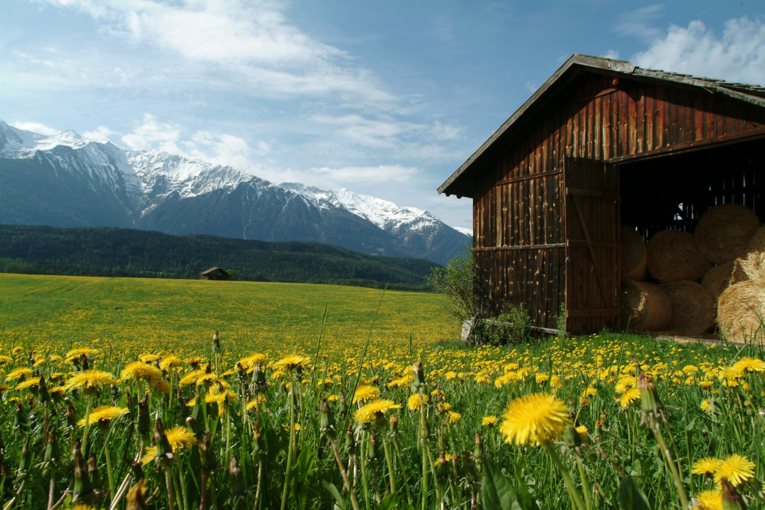 Landschaft,-Berge,-Wiese,-Holzh├àtte-1-(Bernhard-Aichner)-.png