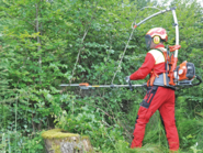 Pflegemaßnahmen im Waldfonds.png © Mooslechner Pflegemaßnahmen im Waldfonds.png © Mooslechner