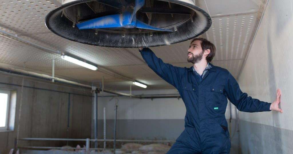 Schweinehaltung.jpg © fraukoeppl Schweinehaltung.jpg © fraukoeppl