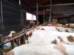 [1614798239077817_5.jpg]