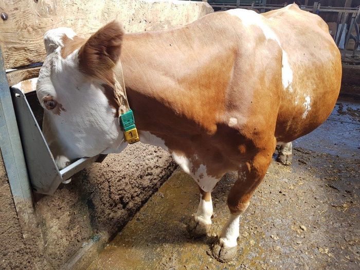 [1614798240038962_1.jpg]