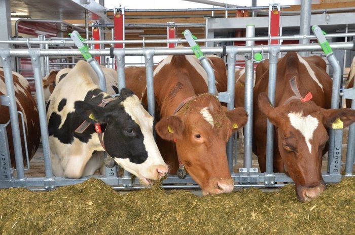 [1614798241051497_1.jpg]