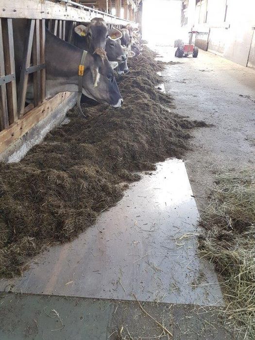 [1614798242350371_1.jpg]