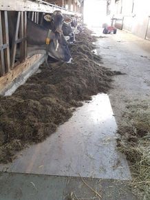 [1614798242350371_5.jpg]