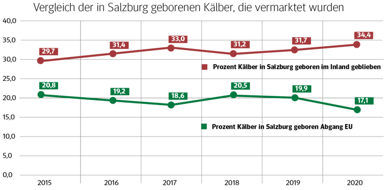 Kälbeabsatz im Inland leicht steigend.png