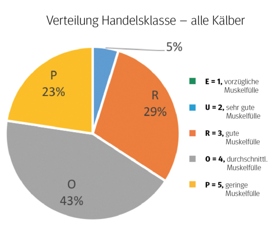 Kälbeabsatz im Inland leicht steigend.png