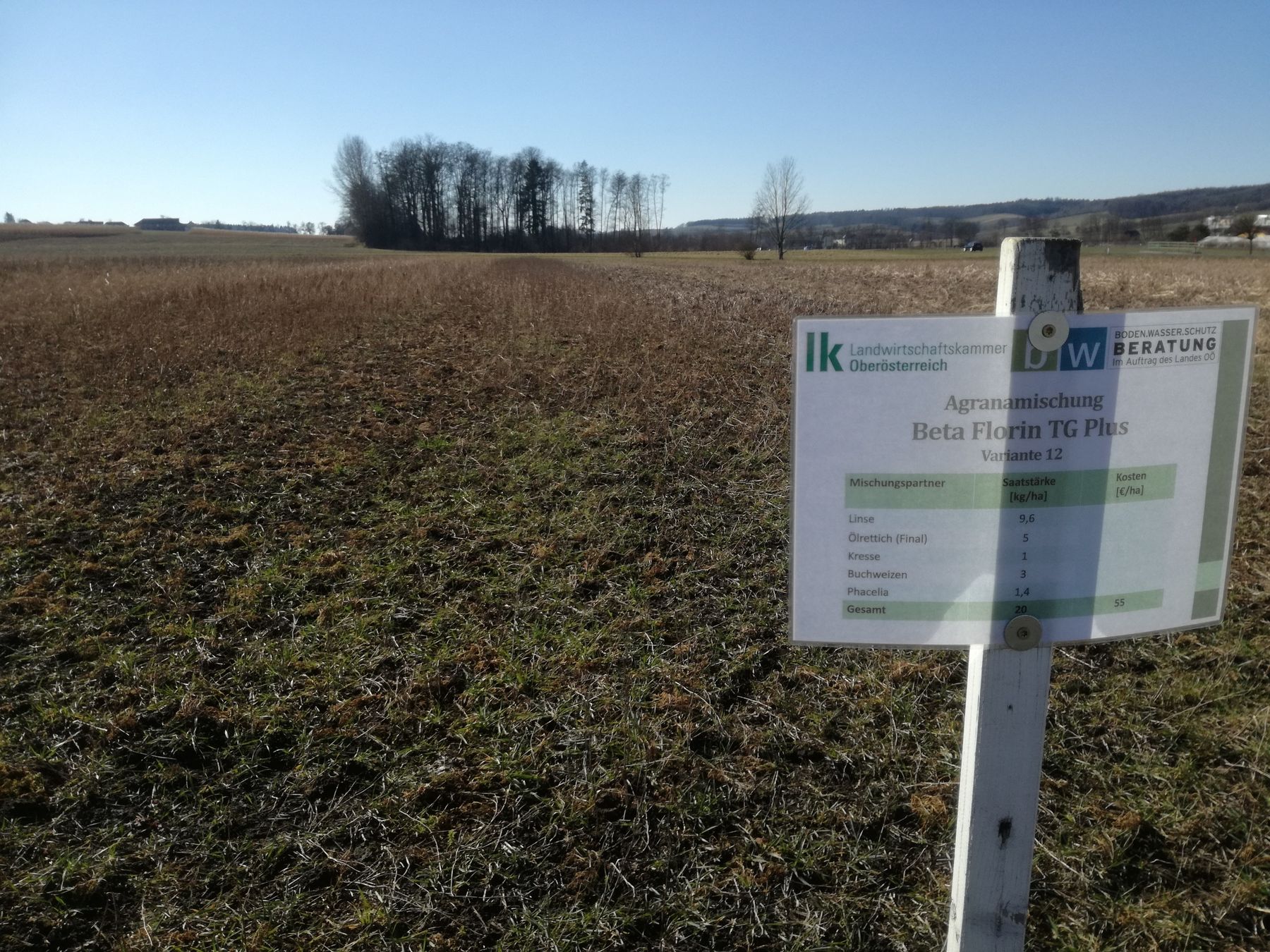 Agranamischung, etwas Ausfallgetreide © BWSB/Wallner Agranamischung, etwas Ausfallgetreide © BWSB/Wallner