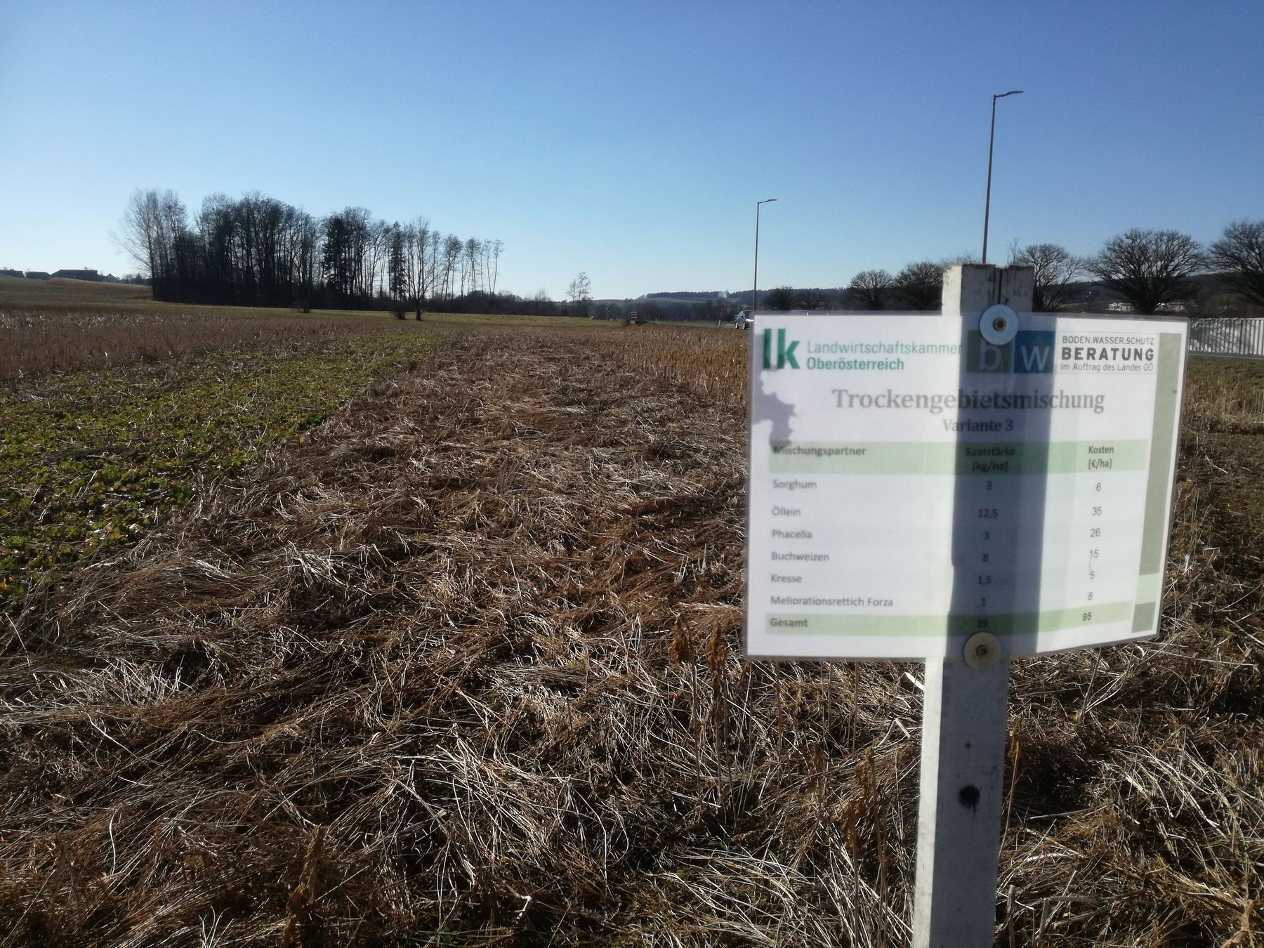 Trockengebietsmischung - tolle Mulchschicht, unkrautfrei © BWSB/Wallner Trockengebietsmischung - tolle Mulchschicht, unkrautfrei © BWSB/Wallner