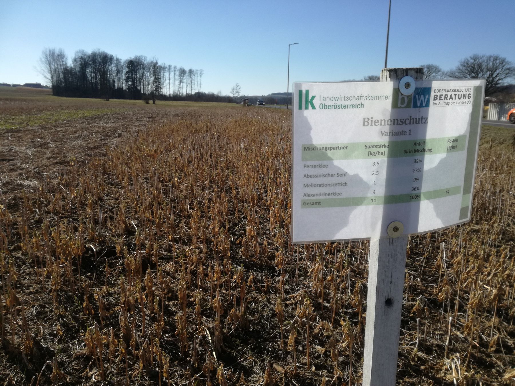 Bienenschutz, Mischung passt, unkrautfrei. © BWSB/Wallner Bienenschutz, Mischung passt, unkrautfrei. © BWSB/Wallner