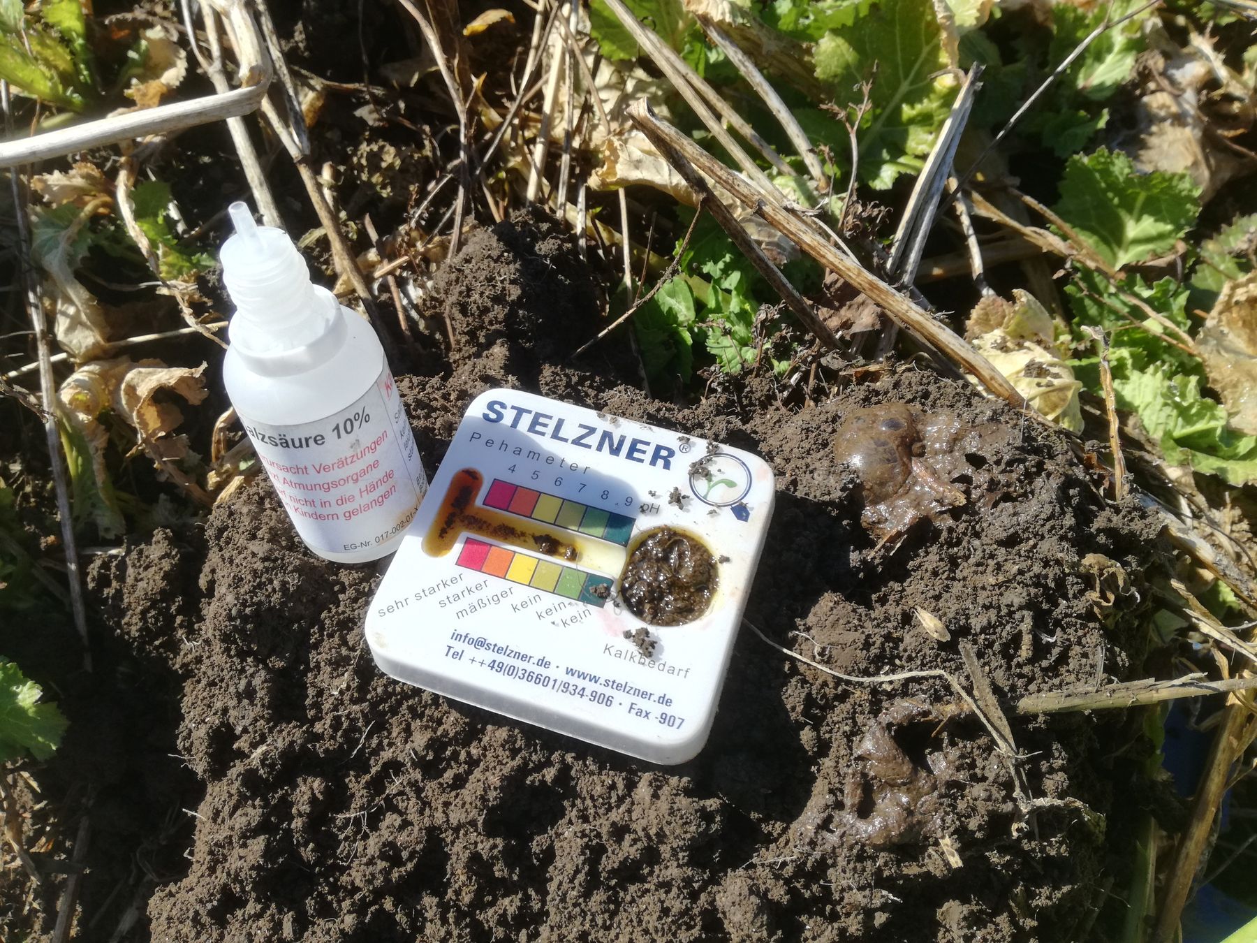 Eindrücke vom Zwischenfruchtversuch an der HLBLA St. Florian##+##6. März 2021 Eindrücke vom Zwischenfruchtversuch an der HLBLA St. Florian##+##6. März 2021