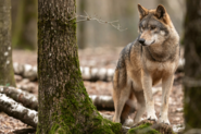 AB-Photography_AdobeStock_261490233.png © AB-Photography_AdobeStock
