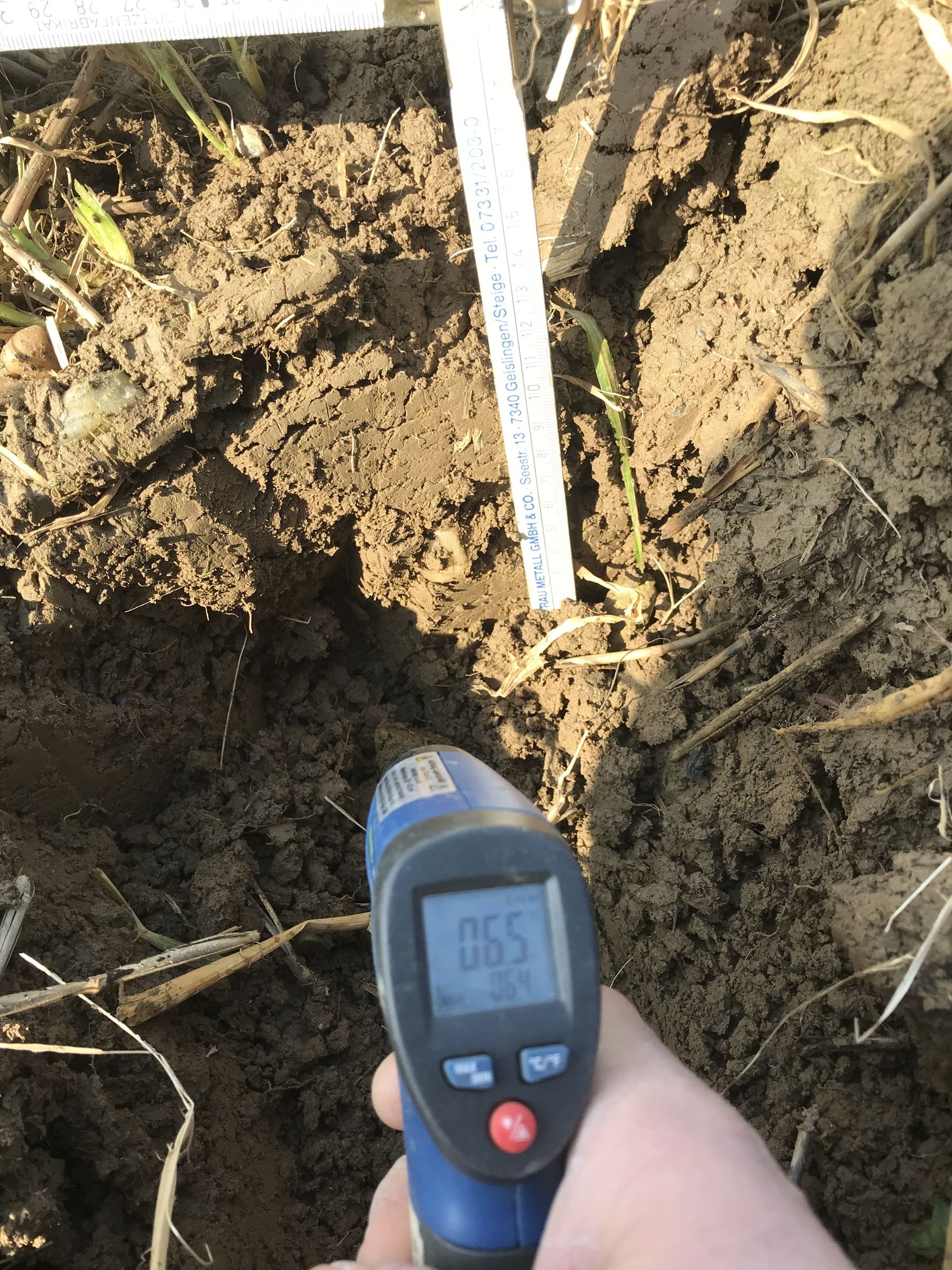 Bodentemperatur 10 cm Tiefe in Lambach. © BWSB/Gerstl Bodentemperatur 10 cm Tiefe in Lambach. © BWSB/Gerstl