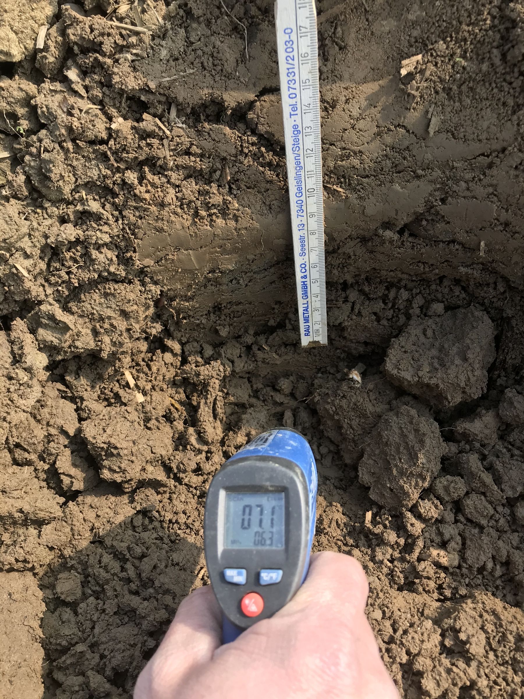 Bodentemperatur 10 cm Tiefe in Leonding (Dammkultur). © BWSB/Gerstl Bodentemperatur 10 cm Tiefe in Leonding (Dammkultur). © BWSB/Gerstl
