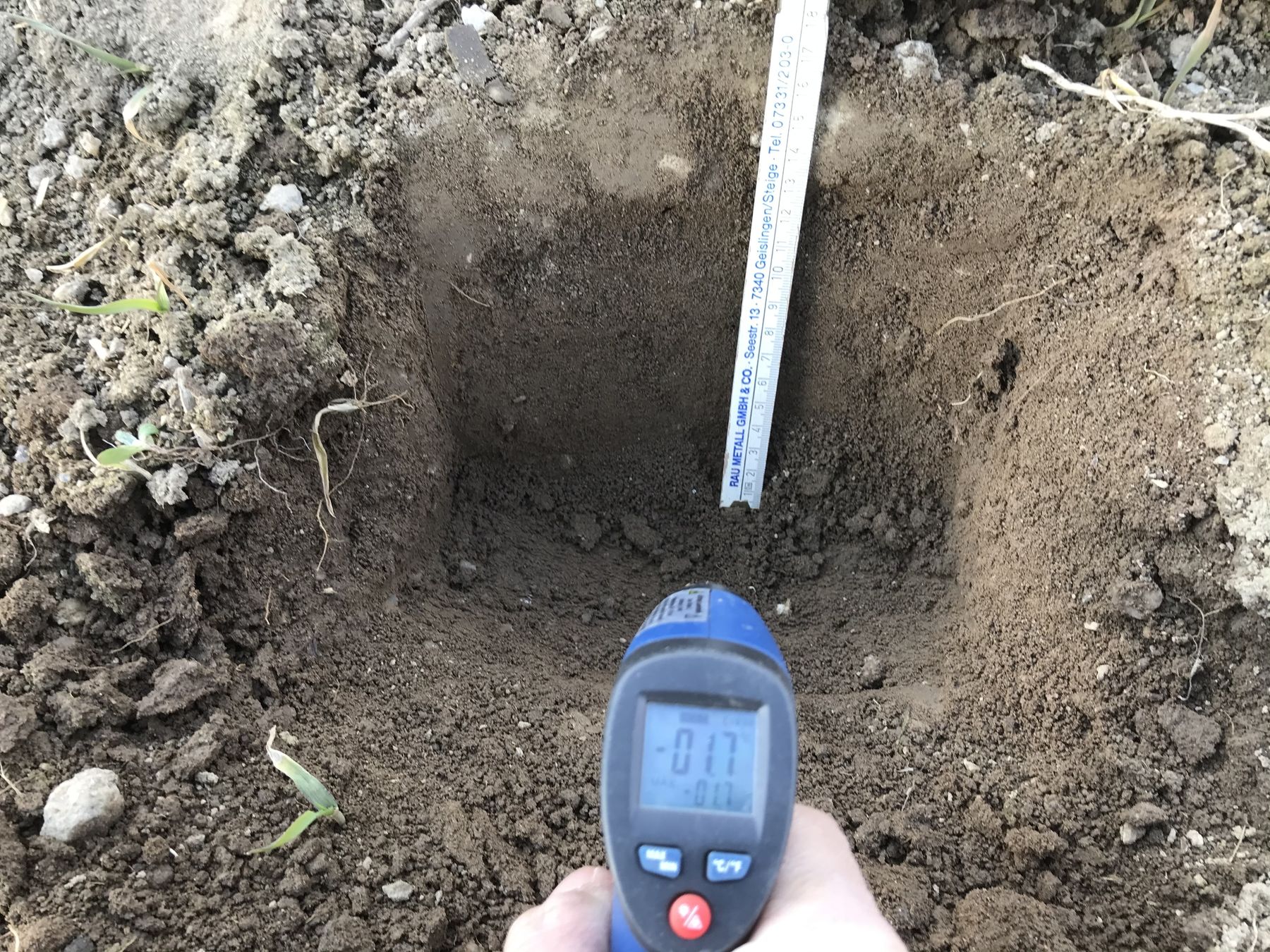 Bodentemperatur in Neumarkt im Mühlkreis 10 cm Bodentiefe. © BWSB/Gerstl Bodentemperatur in Neumarkt im Mühlkreis 10 cm Bodentiefe. © BWSB/Gerstl