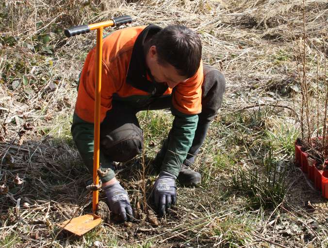 Forstarbeiter bei der Aufforstung © Landwirtschaftskammer Steiermark / Pretterhofer Forstarbeiter bei der Aufforstung © Landwirtschaftskammer Steiermark / Pretterhofer