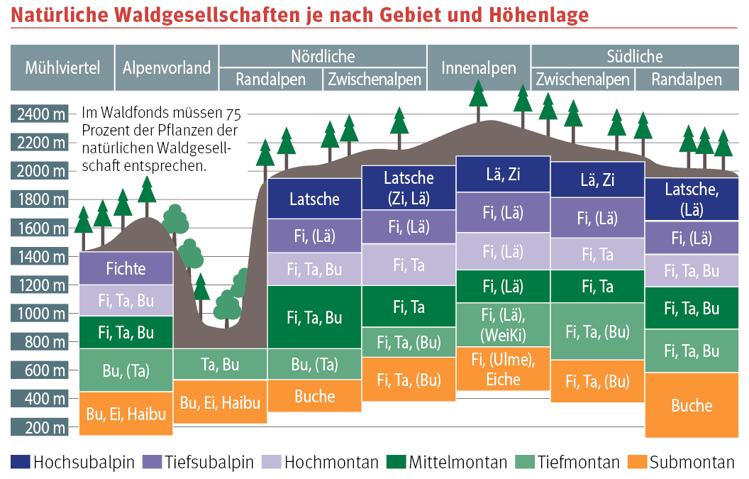 Natürliche Waldgesellschaften Österreich.png © Landwirtschaftskammer Steiermark Natürliche Waldgesellschaften Österreich.png © Landwirtschaftskammer Steiermark