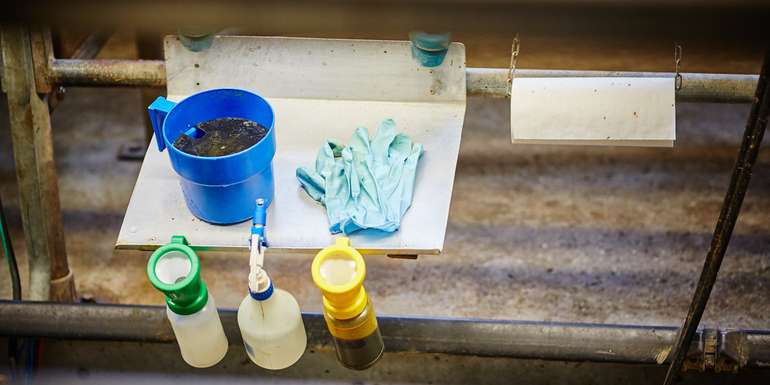 Strikte Melkhygiene hilft Euterinfektionen vorzubeugen. © Franz Gleiß/LK Niederösterreich