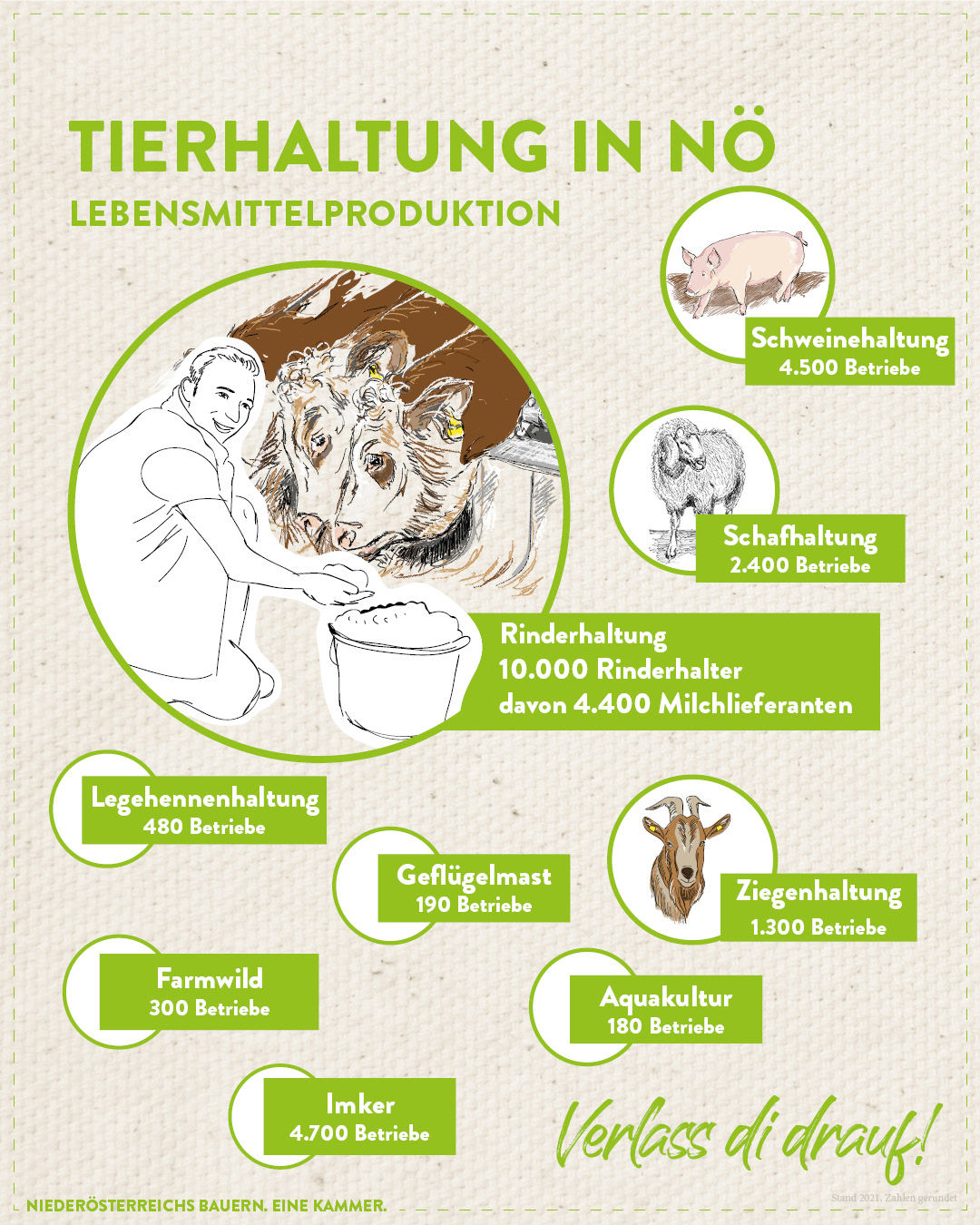 Grafik_Tierhaltung.jpg © Eva Kail/LK Niederösterreich Grafik_Tierhaltung.jpg © Eva Kail/LK Niederösterreich