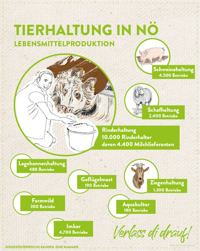 Grafik_Tierhaltung.jpg © Eva Kail/LK Niederösterreich Grafik_Tierhaltung.jpg © Eva Kail/LK Niederösterreich