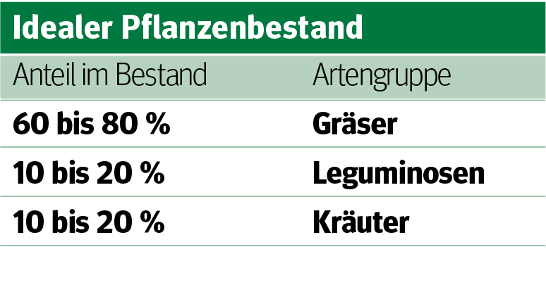 Richtiges G‘spür und Wissen für gute Silage .png © Archiv Richtiges G‘spür und Wissen für gute Silage .png © Archiv