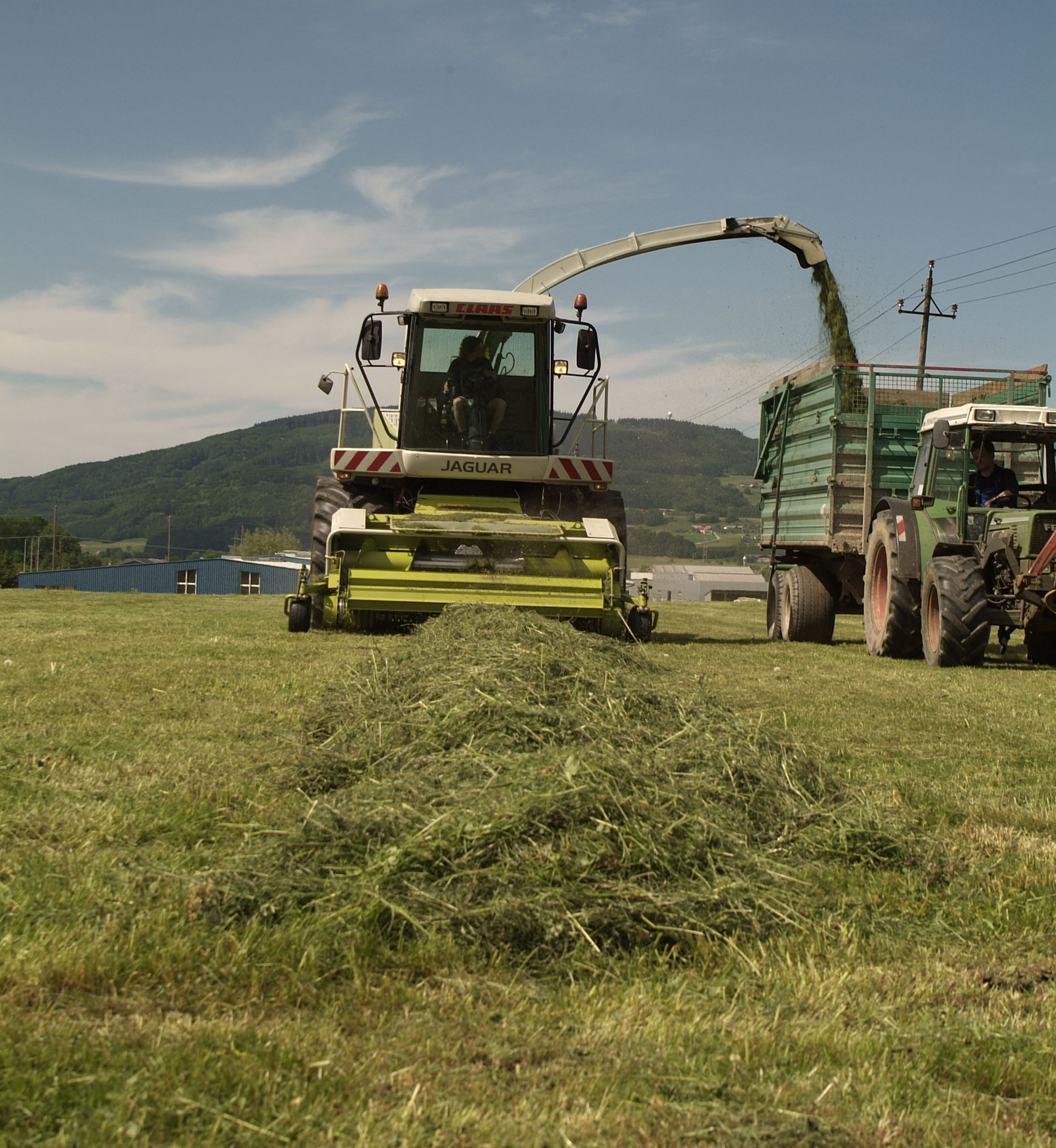 Richtiges G‘spür und Wissen für gute Silage .jpg © Dürnberger