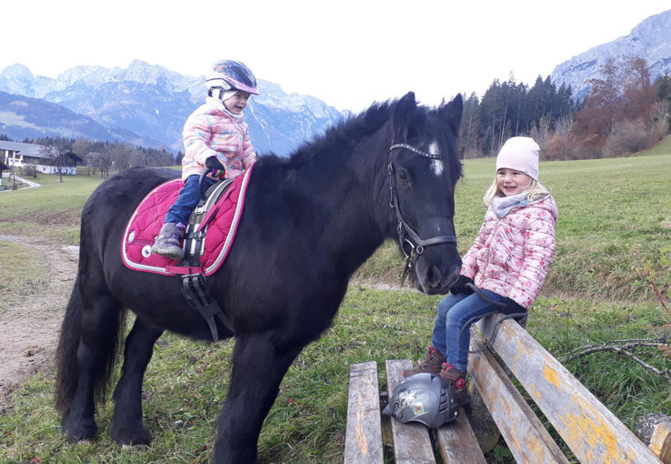 Mein Bild 2021.jpg © Salzburger Bauer/Steinbacher Mein Bild 2021.jpg © Salzburger Bauer/Steinbacher