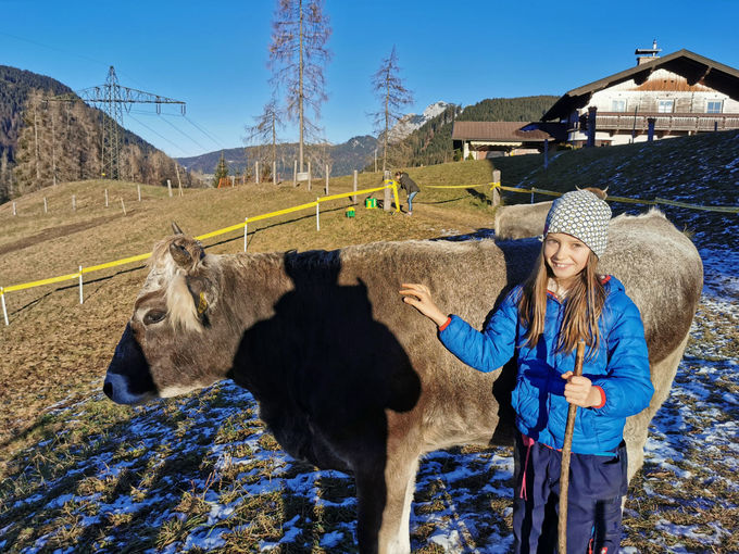 Mein Bild 2021.jpg © Salzburger Bauer/Hirscher Mein Bild 2021.jpg © Salzburger Bauer/Hirscher