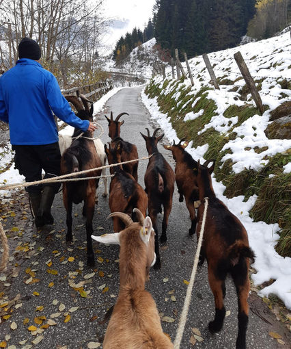 Mein Bild 2021.jpg © Salzburger Bauer/Schwaiger Mein Bild 2021.jpg © Salzburger Bauer/Schwaiger