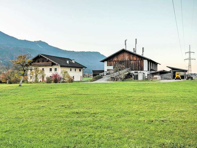 Zum Glück auf den Ochs gekommen – Pillhof in Kuchl.jpg © Krispler Zum Glück auf den Ochs gekommen – Pillhof in Kuchl.jpg © Krispler