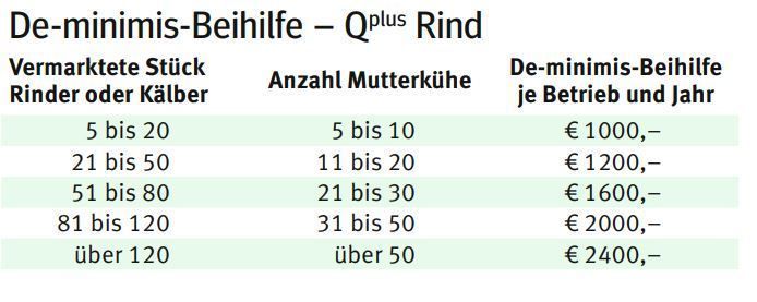Q Plus Rind.jpg © LK Kärnten/Kärntner Bauer Q Plus Rind.jpg © LK Kärnten/Kärntner Bauer