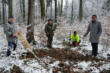 PK_klimafitter_Wald_3.jpg © LK Salzburg/Mooslechner PK_klimafitter_Wald_3.jpg © LK Salzburg/Mooslechner