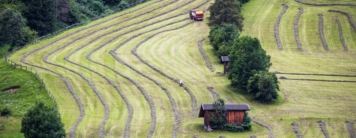 Stubai_Foto-Michaela-Kölle-2206.png © Michaela Kölle Stubai_Foto-Michaela-Kölle-2206.png © Michaela Kölle