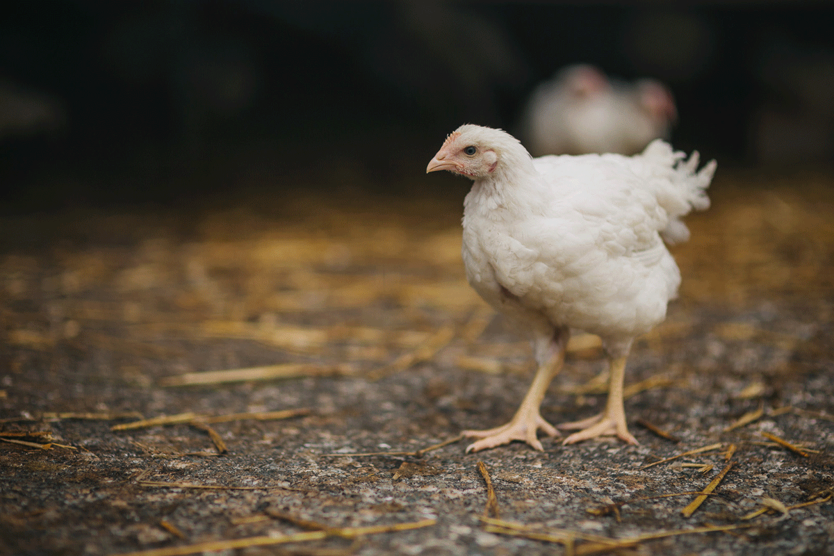 AMA_MG_6165_sRGB.png © AMA AMA_MG_6165_sRGB.png © AMA