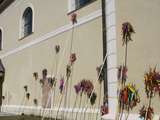 IMG_4265.jpg © Archiv