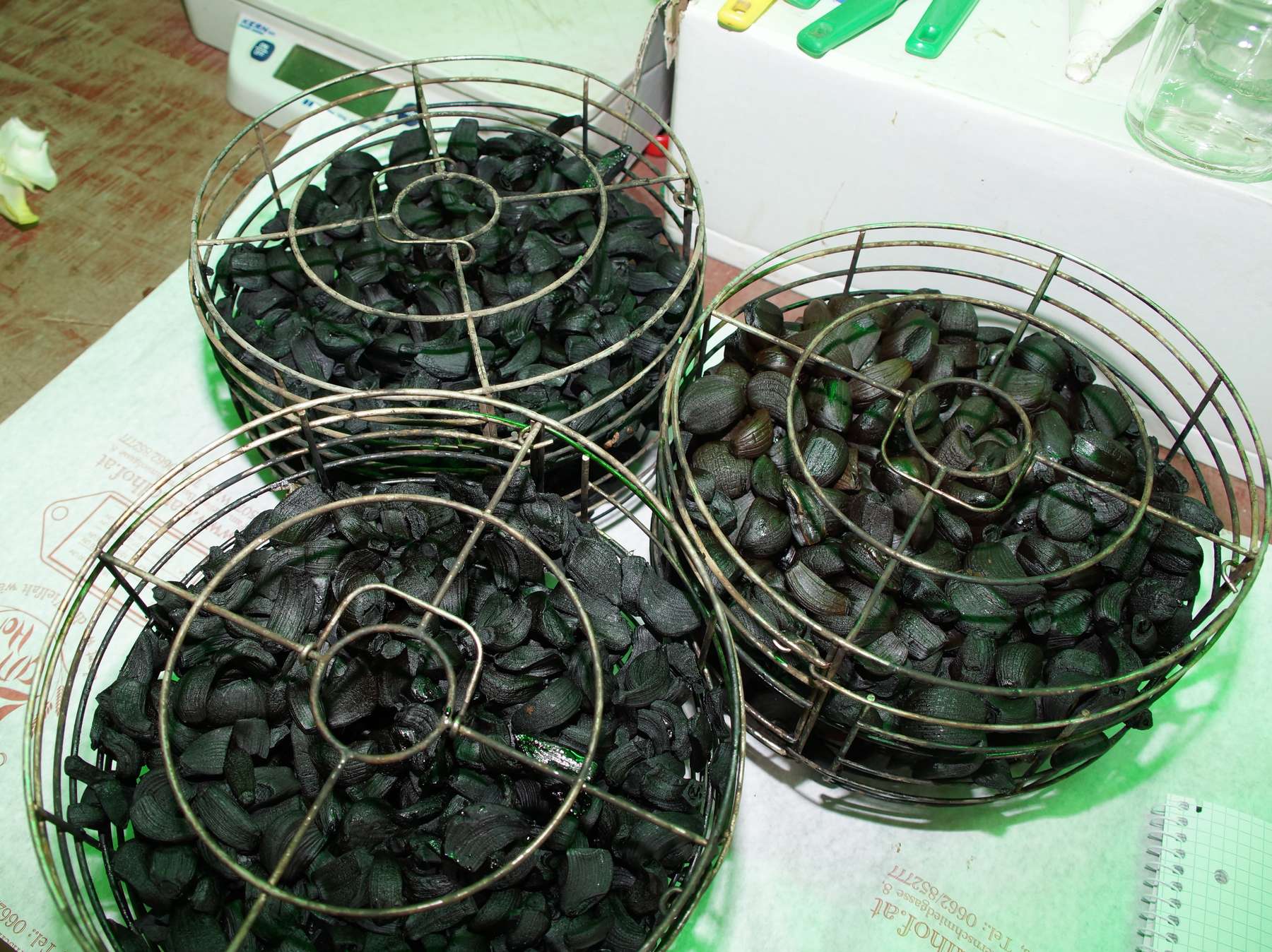 Schwarzer Knoblauch.jpg © Archiv Schwarzer Knoblauch.jpg © Archiv