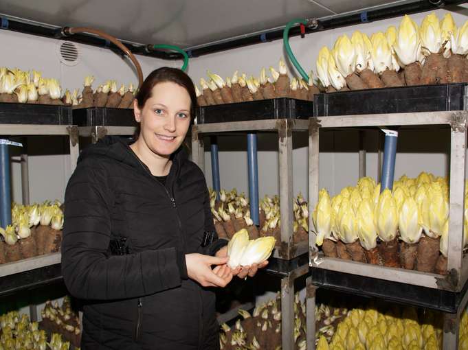 Monika Reiter mit dem Chicoree.jpg © Gudrun Dürnberger