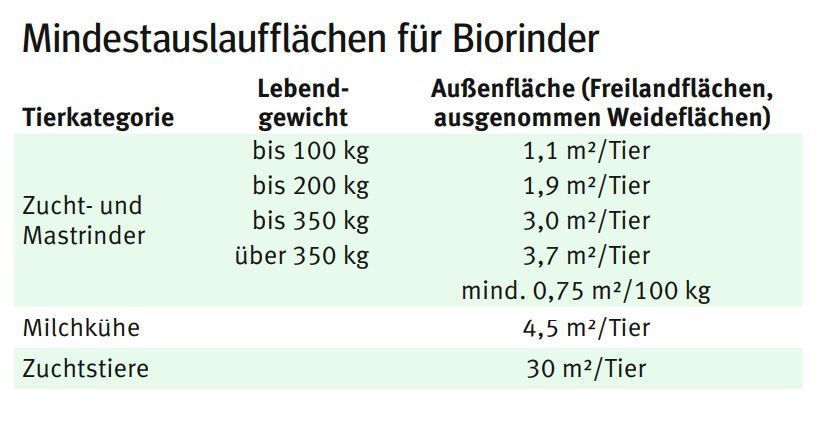 Bio Auslauf.jpg