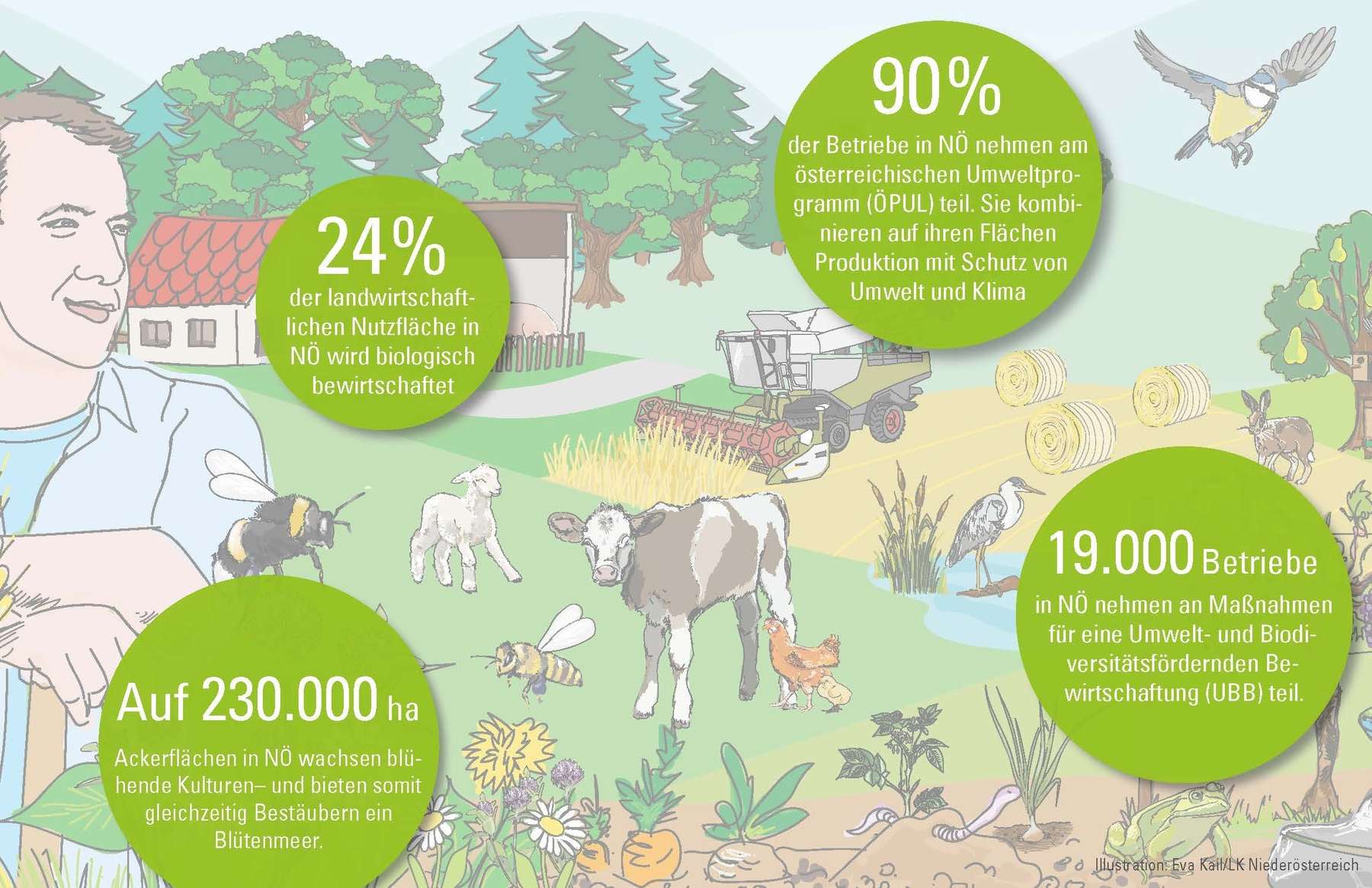 Infografik LK Niederösterreich_Bio.jpg © Anna Gindl, Eva Kail/LK Niederösterreich Infografik LK Niederösterreich_Bio.jpg © Anna Gindl, Eva Kail/LK Niederösterreich