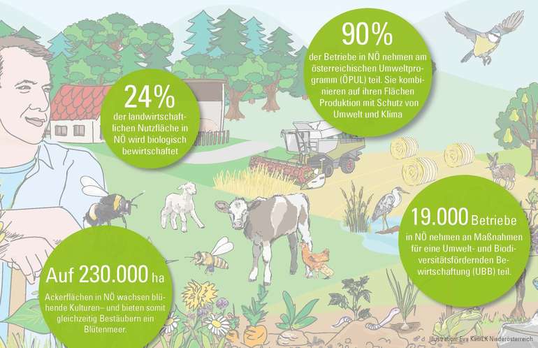Infografik LK Niederösterreich_Bio.jpg © Anna Gindl, Eva Kail/LK Niederösterreich Infografik LK Niederösterreich_Bio.jpg © Anna Gindl, Eva Kail/LK Niederösterreich