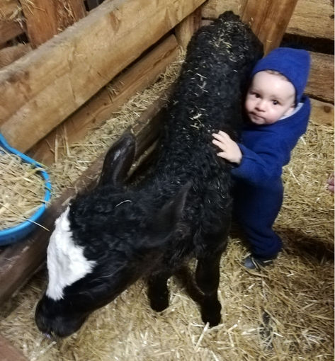 Mein Bild 2021.jpg © Salzburger Bauer/Thurner Mein Bild 2021.jpg © Salzburger Bauer/Thurner