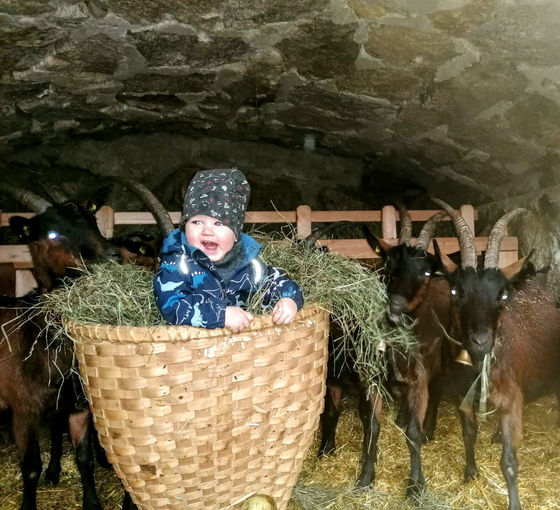 Mein Bild 2021.jpg © Salzburger Bauer/Steger Mein Bild 2021.jpg © Salzburger Bauer/Steger