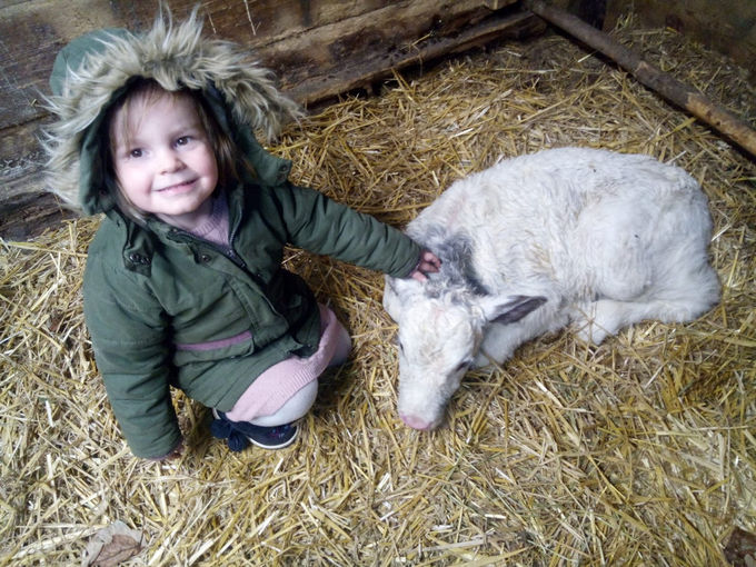 Mein Bild 2021.jpg © Salzburger Bauer/Gollnitzer Mein Bild 2021.jpg © Salzburger Bauer/Gollnitzer