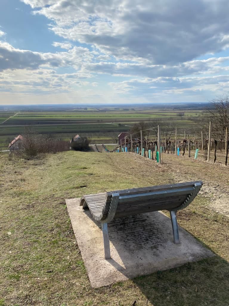 © Andrea Uhl LK NÖ © Andrea Uhl LK NÖ