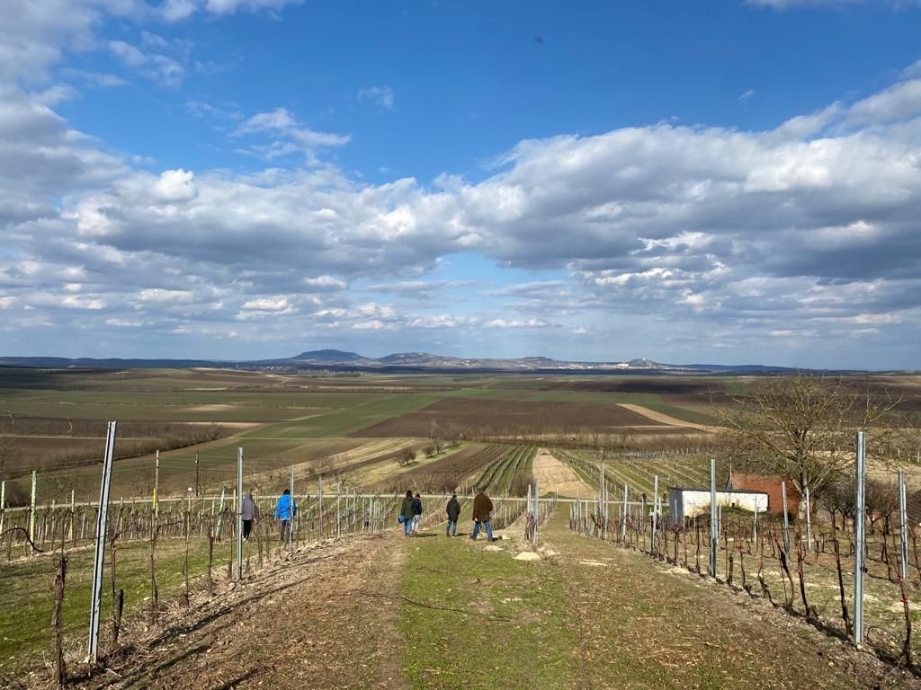 © Andrea Uhl LK NÖ © Andrea Uhl LK NÖ