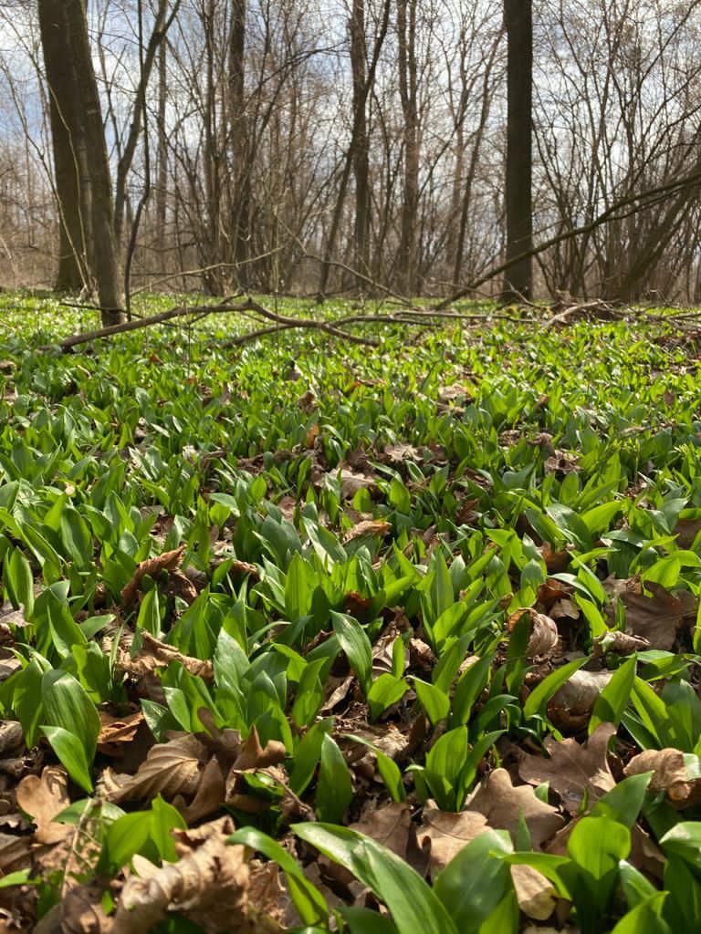 © Andrea Uhl LK NÖ © Andrea Uhl LK NÖ