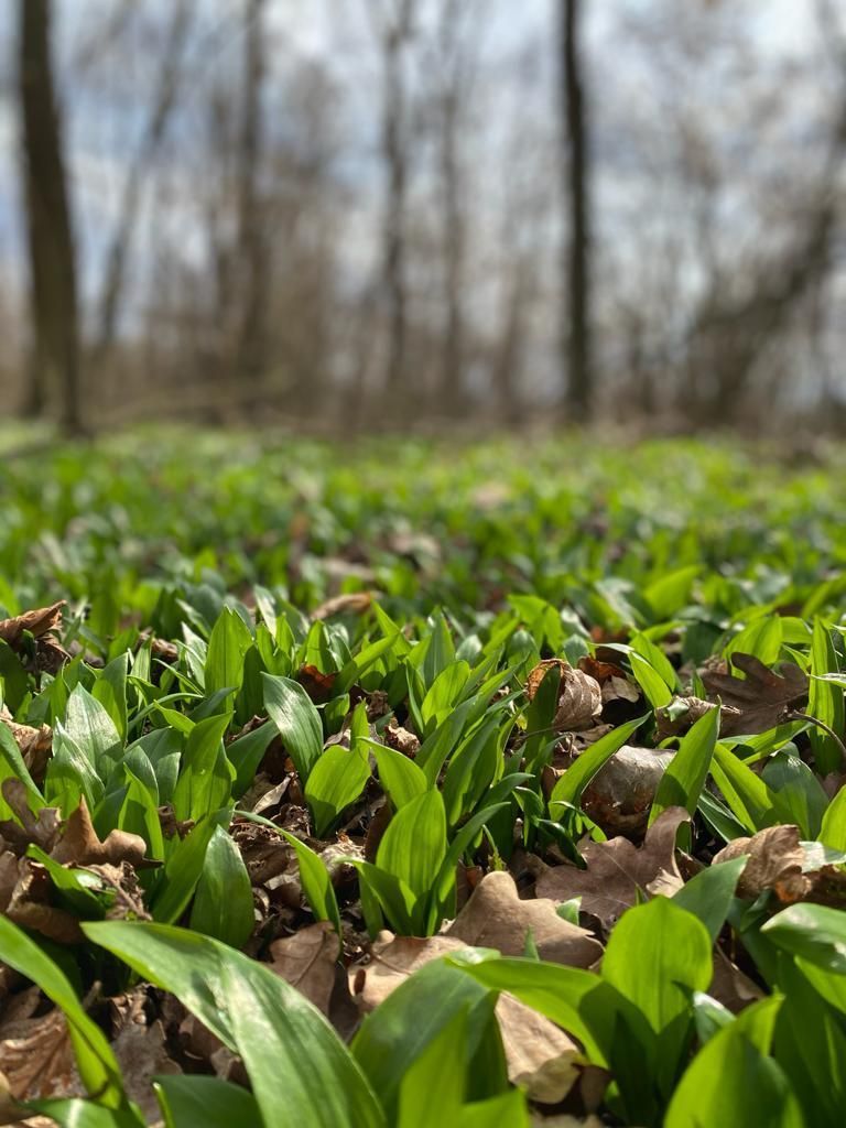 © Andrea Uhl LK NÖ © Andrea Uhl LK NÖ