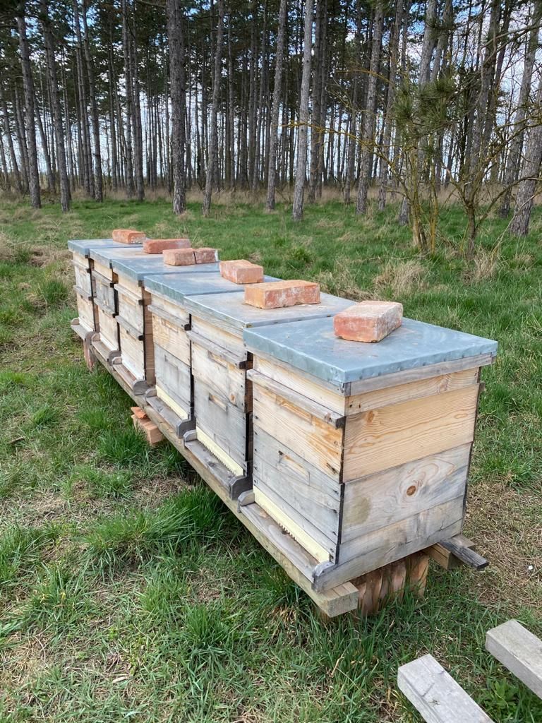 © Andrea Uhl LK NÖ © Andrea Uhl LK NÖ