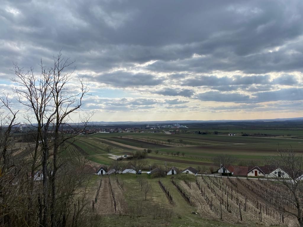 © Andrea Uhl LK NÖ © Andrea Uhl LK NÖ