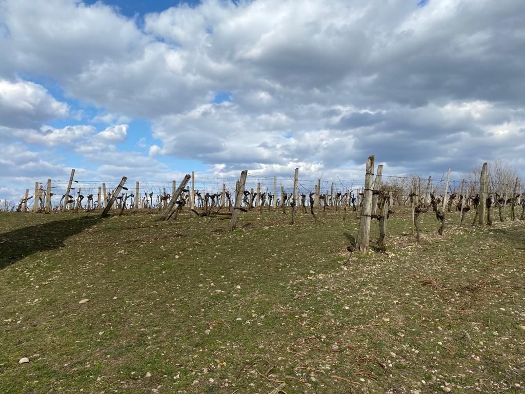 © Andrea Uhl LK NÖ © Andrea Uhl LK NÖ